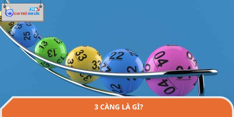 3 càng là gì?