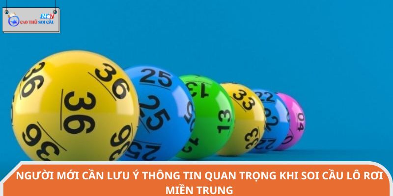 Người mới cần lưu ý thông tin quan trọng khi soi cầu lô rơi miền trung