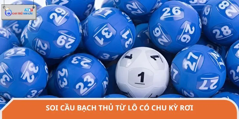 Dựa vào lô rơi để soi cầu bạch thủ chính xác