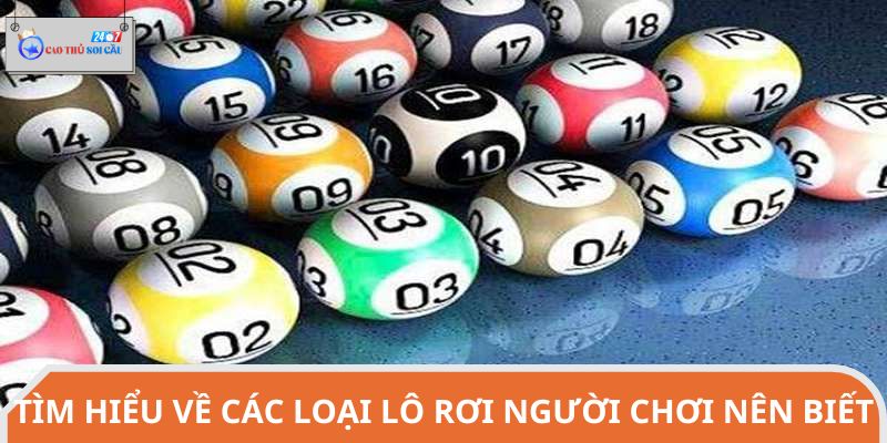 Tìm hiểu về các loại lô rơi người chơi nên biết