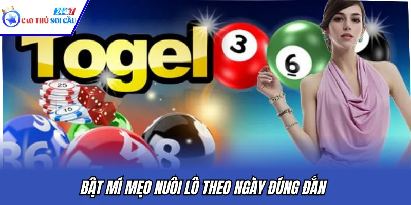 Bật mí mẹo nuôi lô theo ngày đúng đắn