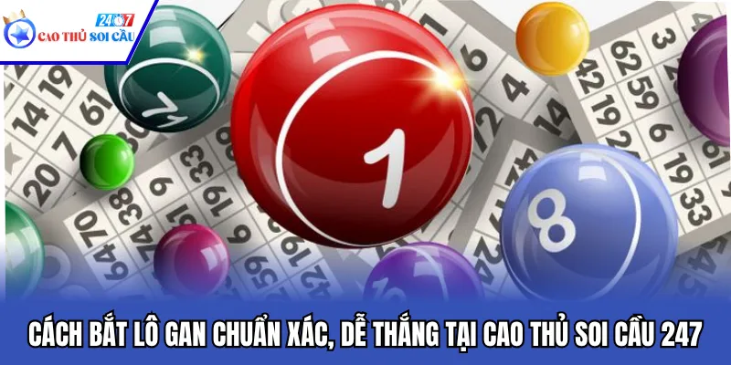Cách Bắt Lô Gan Chuẩn Xác, Dễ Thắng Tại Cao Thủ Soi Cầu 247