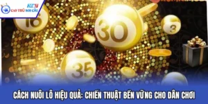 Cách Nuôi Lô Hiệu Quả: Chiến Thuật Bền Vững Cho Dân Chơi