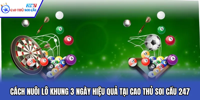 Cách Nuôi Lô Khung 3 Ngày Hiệu Quả Tại Cao Thủ Soi Cầu 247