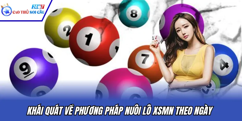 Khái quát về phương pháp nuôi lô XSMN theo ngày