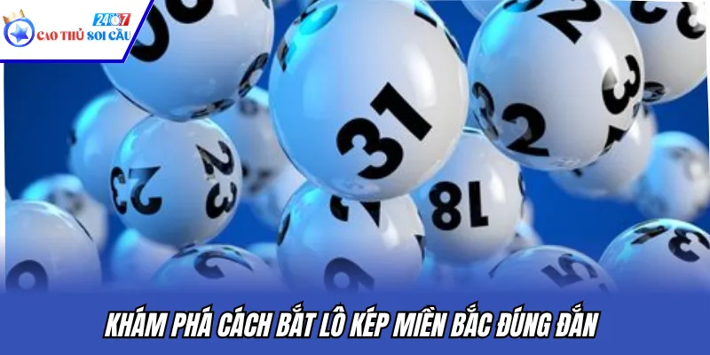 Khám phá cách bắt lô kép miền Bắc đúng đắn