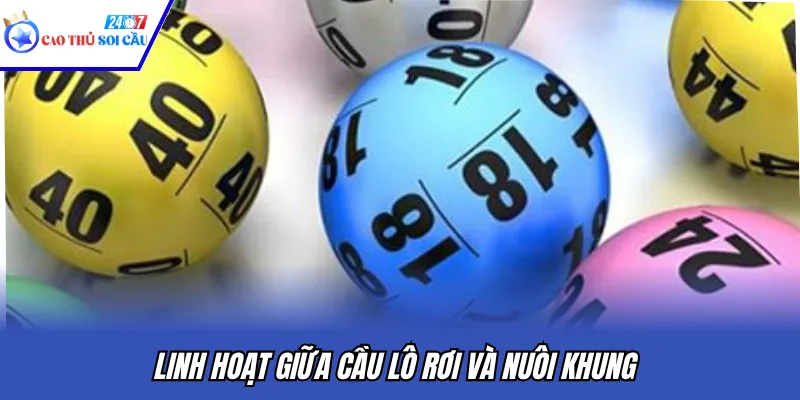 Linh hoạt giữa cầu lô rơi và nuôi khung