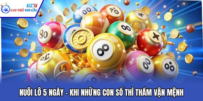 Nuôi Lô 5 Ngày – Khi Những Con Số Thì Thầm Vận Mệnh