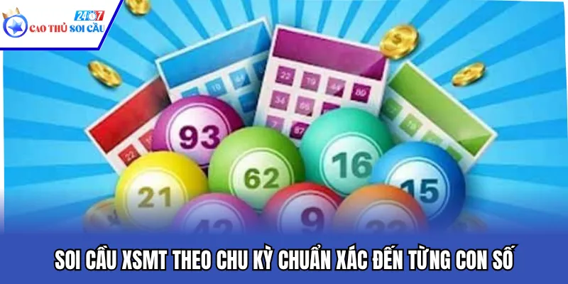 Soi Cầu XSMT Theo Chu Kỳ Chuẩn Xác Đến Từng Con Số
