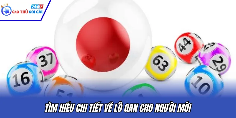 Tìm hiểu chi tiết về lô gan cho người mới