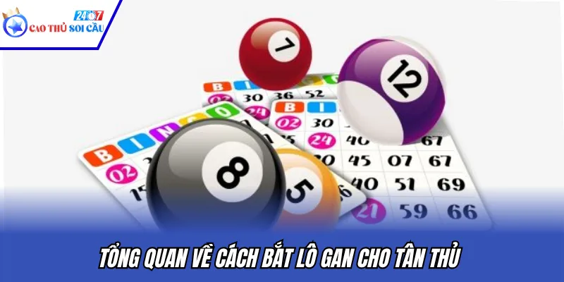 Tổng quan về cách bắt lô gan cho tân thủ