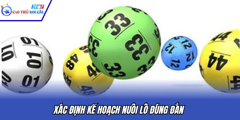 Xác định kế hoạch nuôi lô đúng đắn
