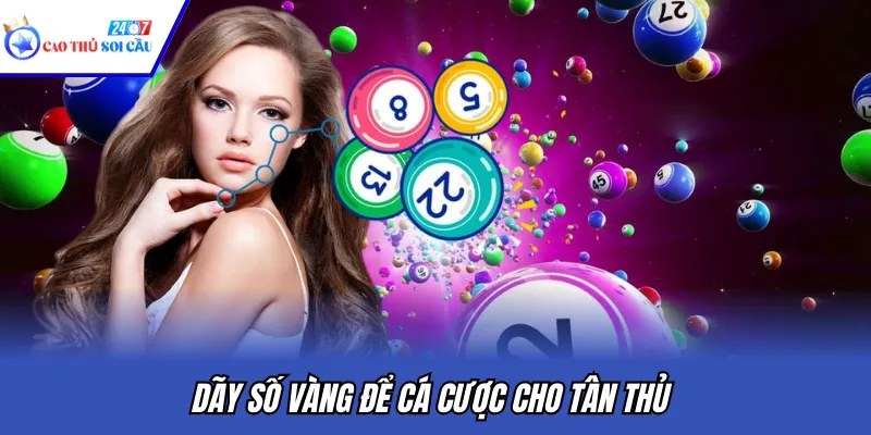 Dãy số vàng để cá cược cho tân thủ