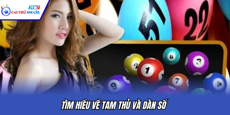 Tìm hiểu về tam thủ và dàn số